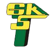 home team logo