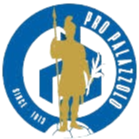 home team logo