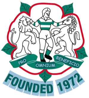 home team logo