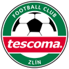 home team logo