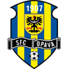 home team logo