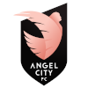 away team logo