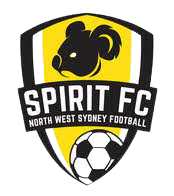 home team logo
