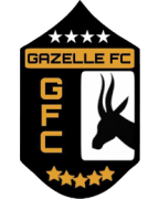home team logo
