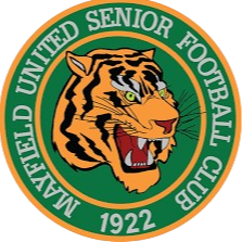 home team logo