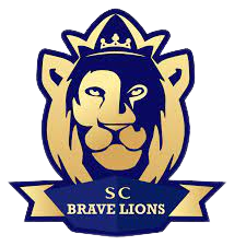 home team logo
