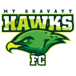 home team logo