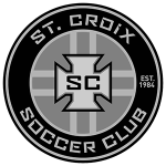 home team logo
