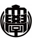 home team logo