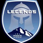 home team logo