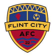 home team logo
