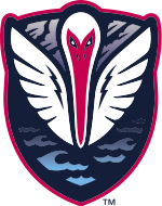 home team logo