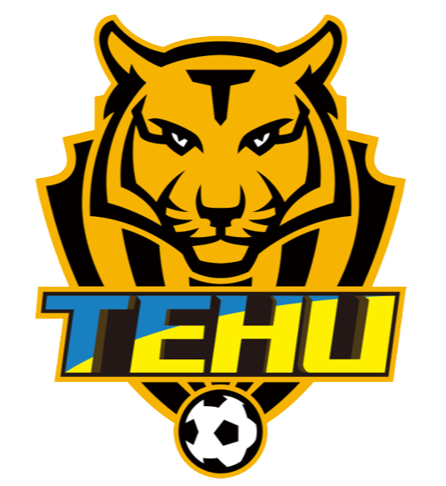 home team logo