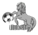 home team logo