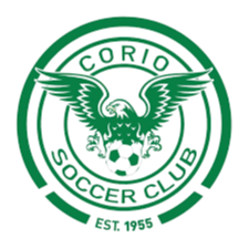 home team logo