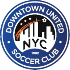 home team logo