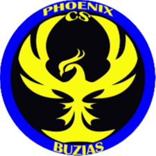 home team logo