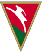 home team logo