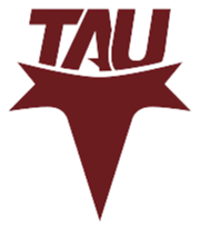 home team logo