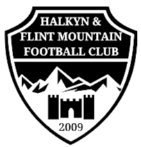home team logo