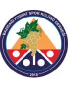 home team logo