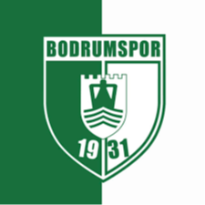 home team logo