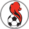 away team logo