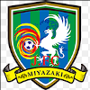 away team logo