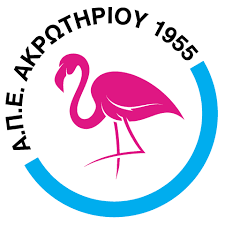home team logo