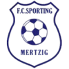 home team logo