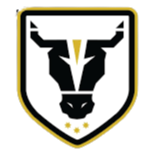 home team logo