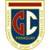 home team logo