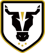 home team logo
