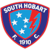 home team logo