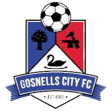 home team logo