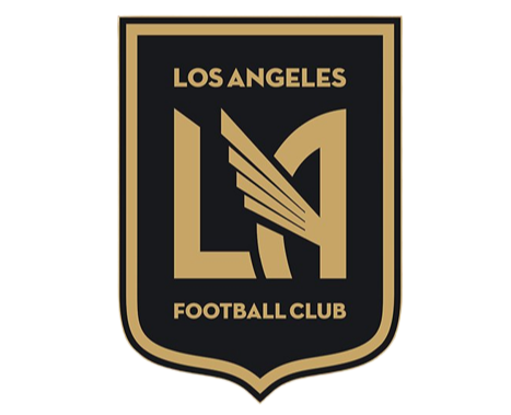 home team logo