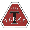 home team logo