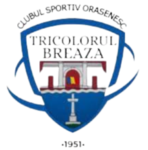 home team logo