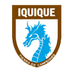 home team logo