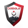 home team logo
