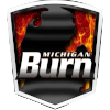 home team logo