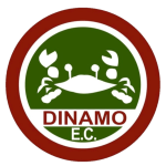 home team logo
