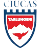 away team logo