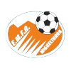 home team logo