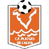 home team logo