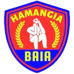 away team logo