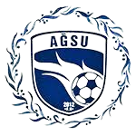 home team logo
