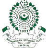 home team logo