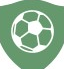 home team logo