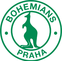 home team logo